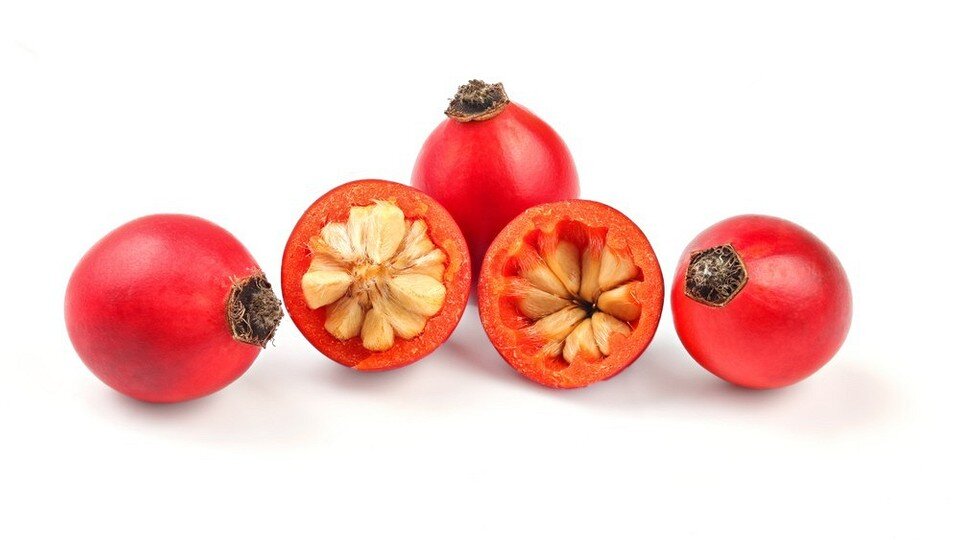    ShutterStock/Fotodom.ru