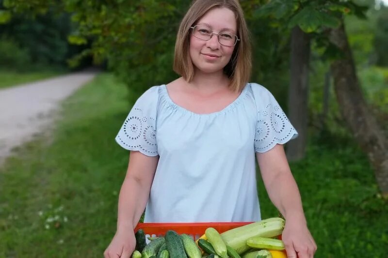 Собираю кабачки и другие овощи.