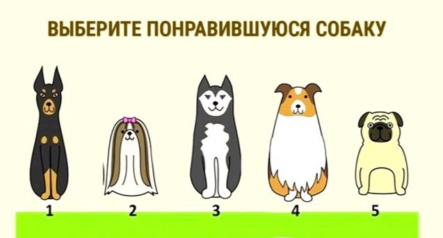 Картинка из интернета
