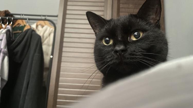 Фото: ИА «Тюменская линия»