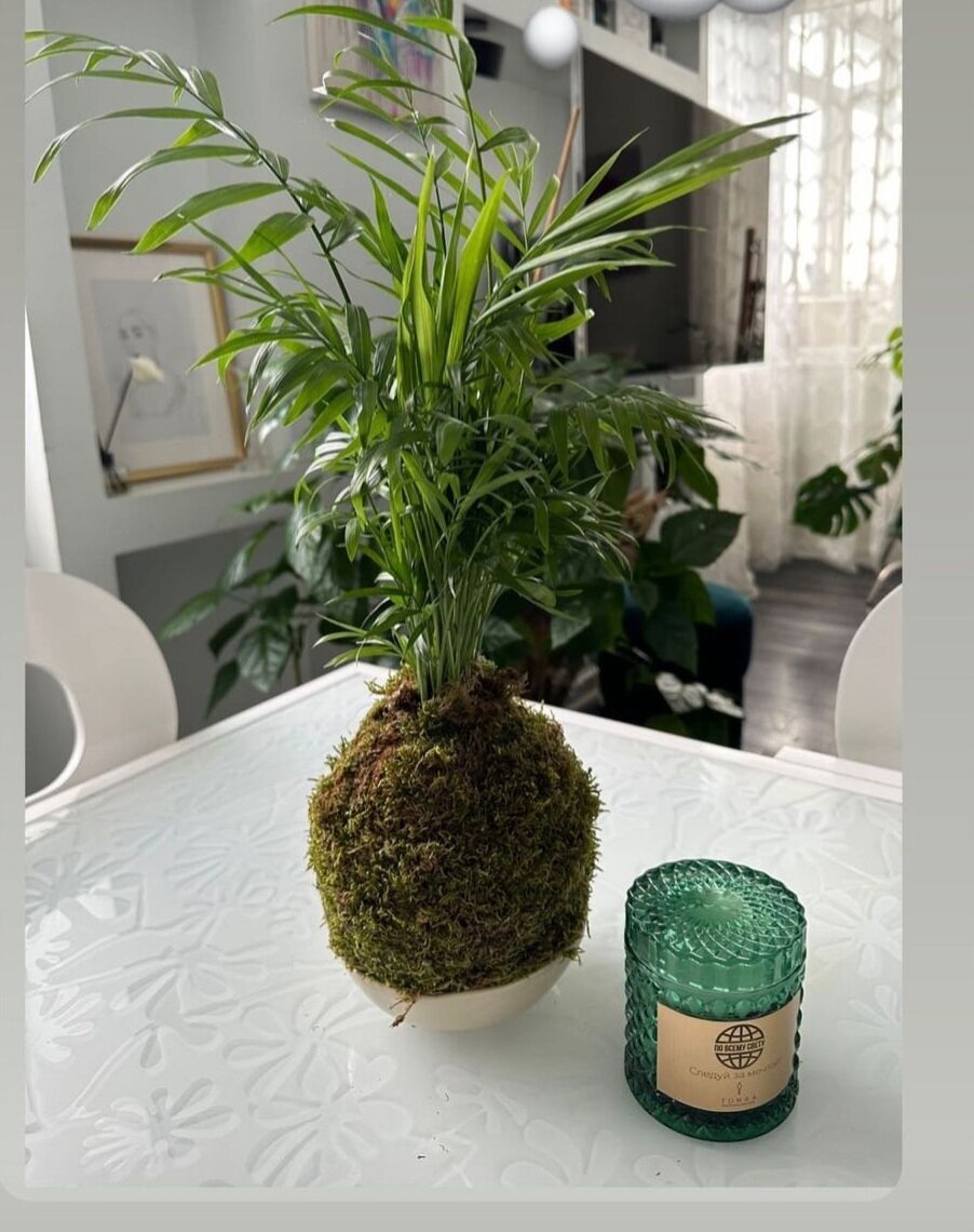 Какова красота то!