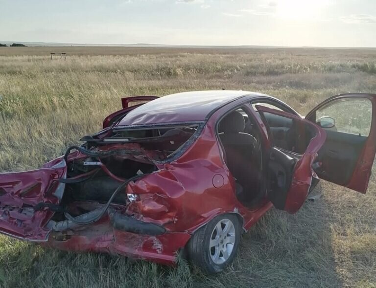    В ДТП под Соль-Илецком пострадали двое детей Кристина Просвиркина