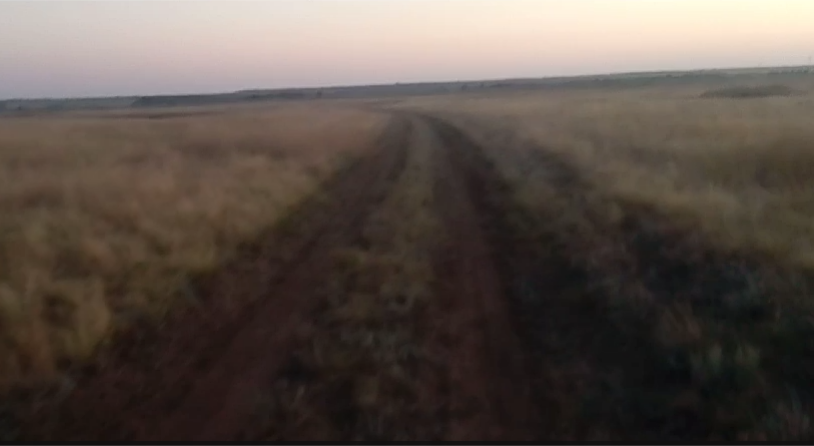 Степная дорога. 