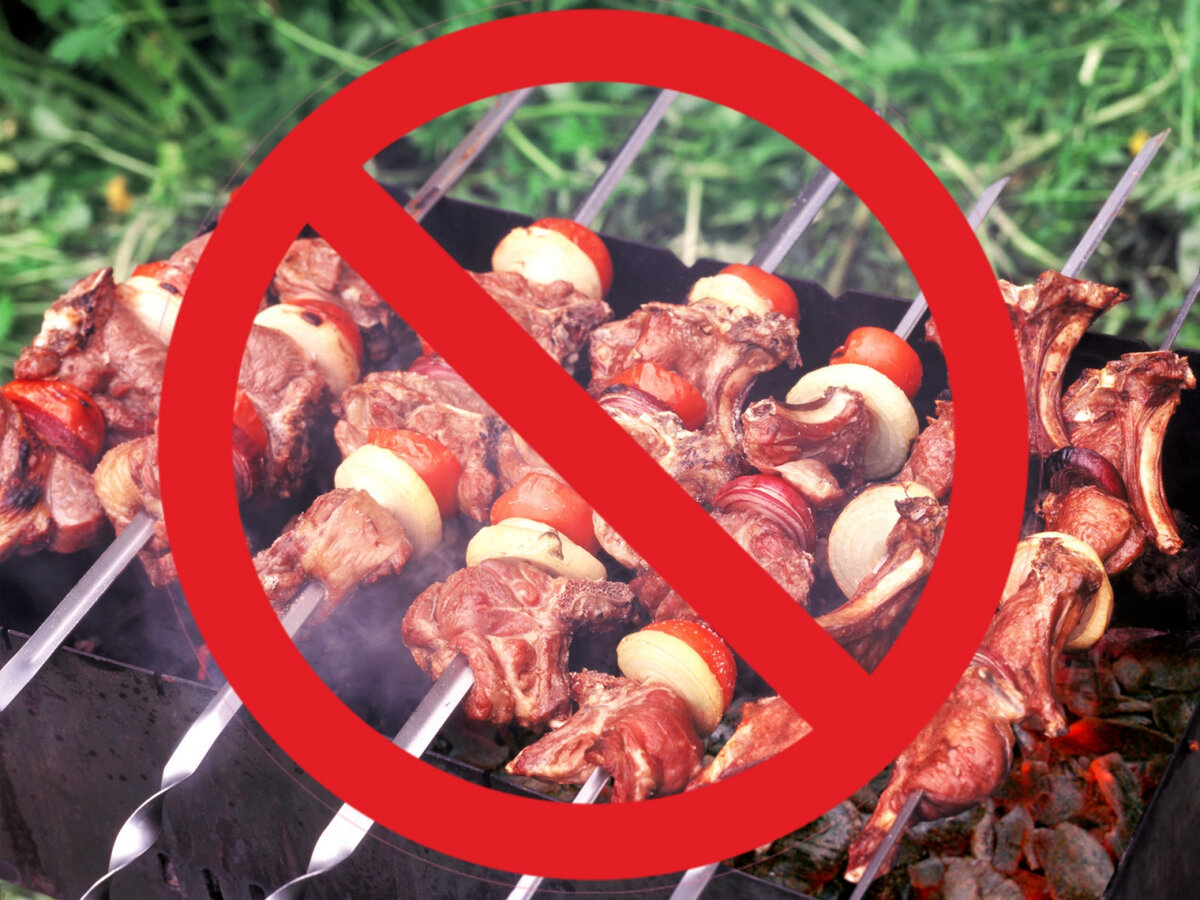 Шашлык запрети. Шашлык на 3 шампурах. Шашлык запретили мы на карантине. Пикник шашлык. Майские шашлыки.