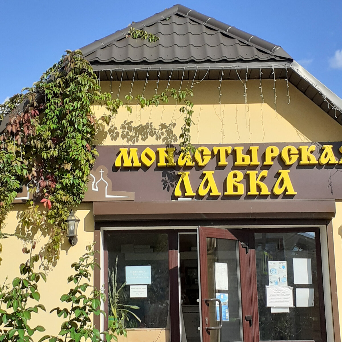 Фото автора