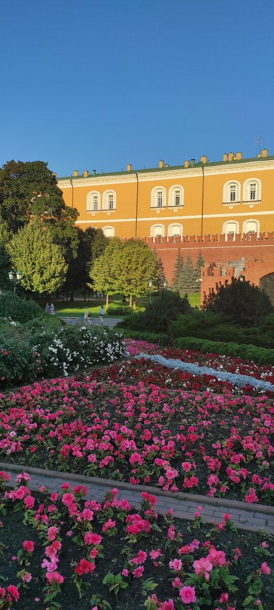 Фото авторское. Москва. 17 августа 2023.