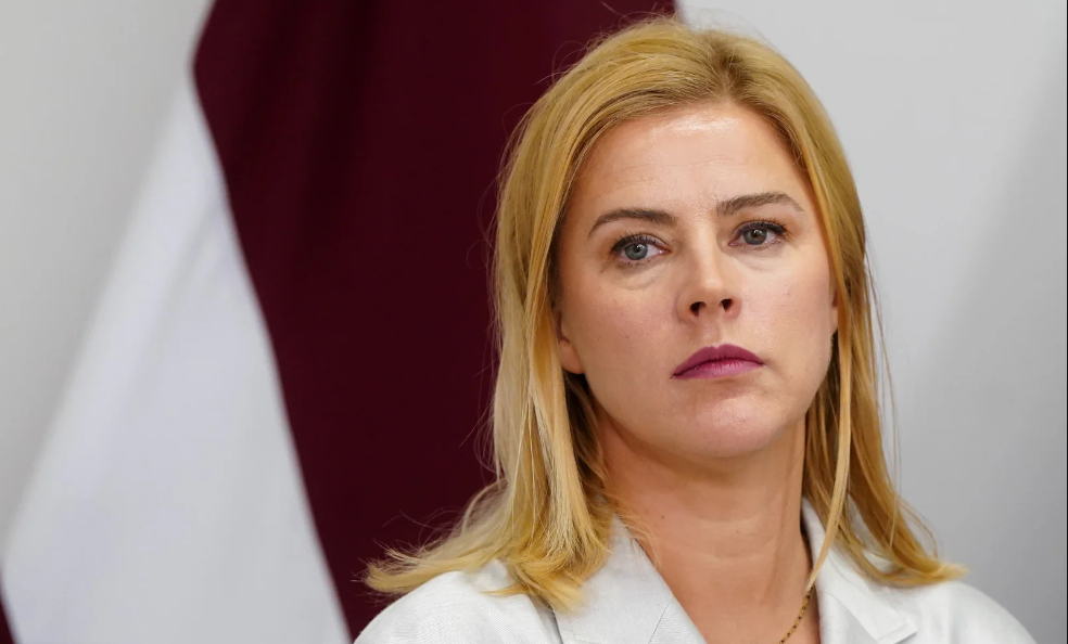 все изображения из открытых источников яндекс картинки.