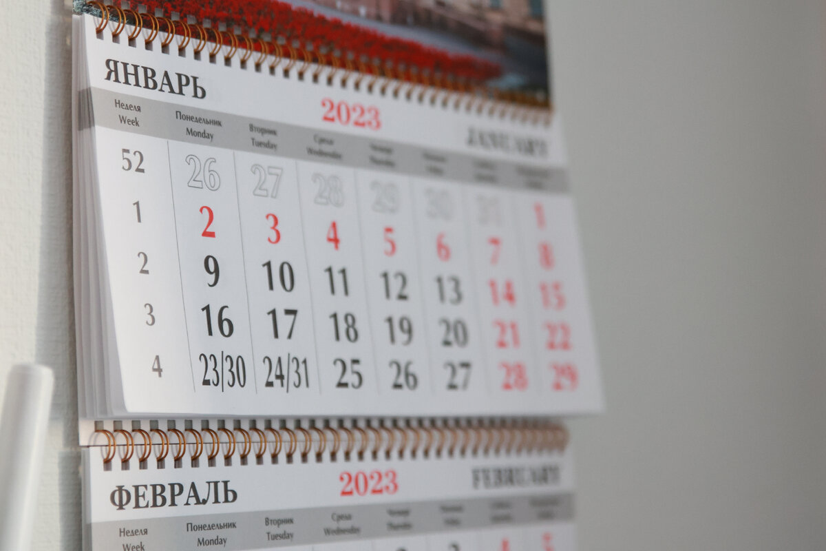 Фото: Baltphoto / Вероника Овсянникова