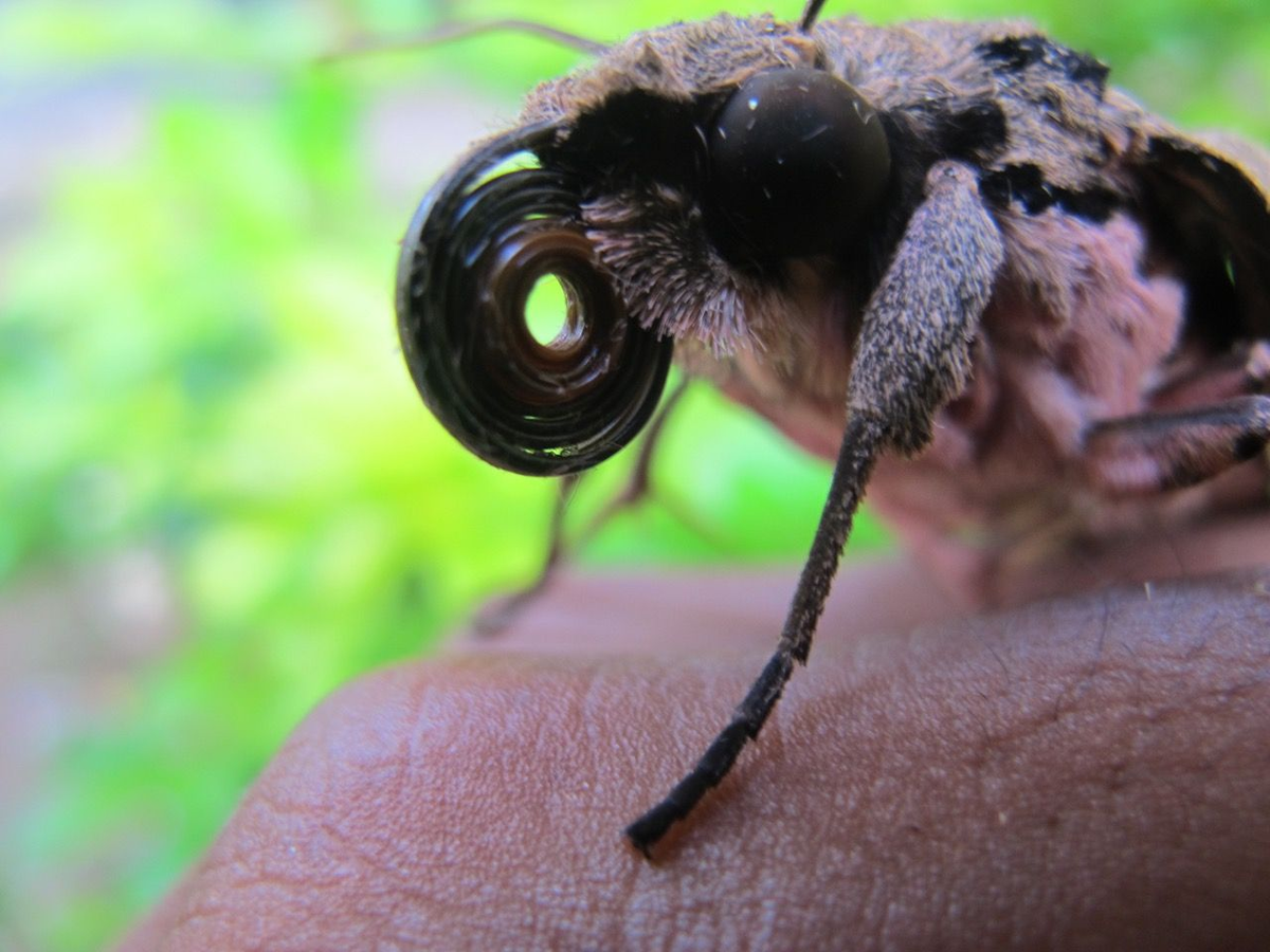 Вот бы научиться на даче так шланг аккуратно сворачивать...