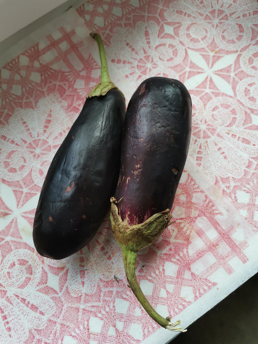 Парочка баклажанов, купленных на рынке