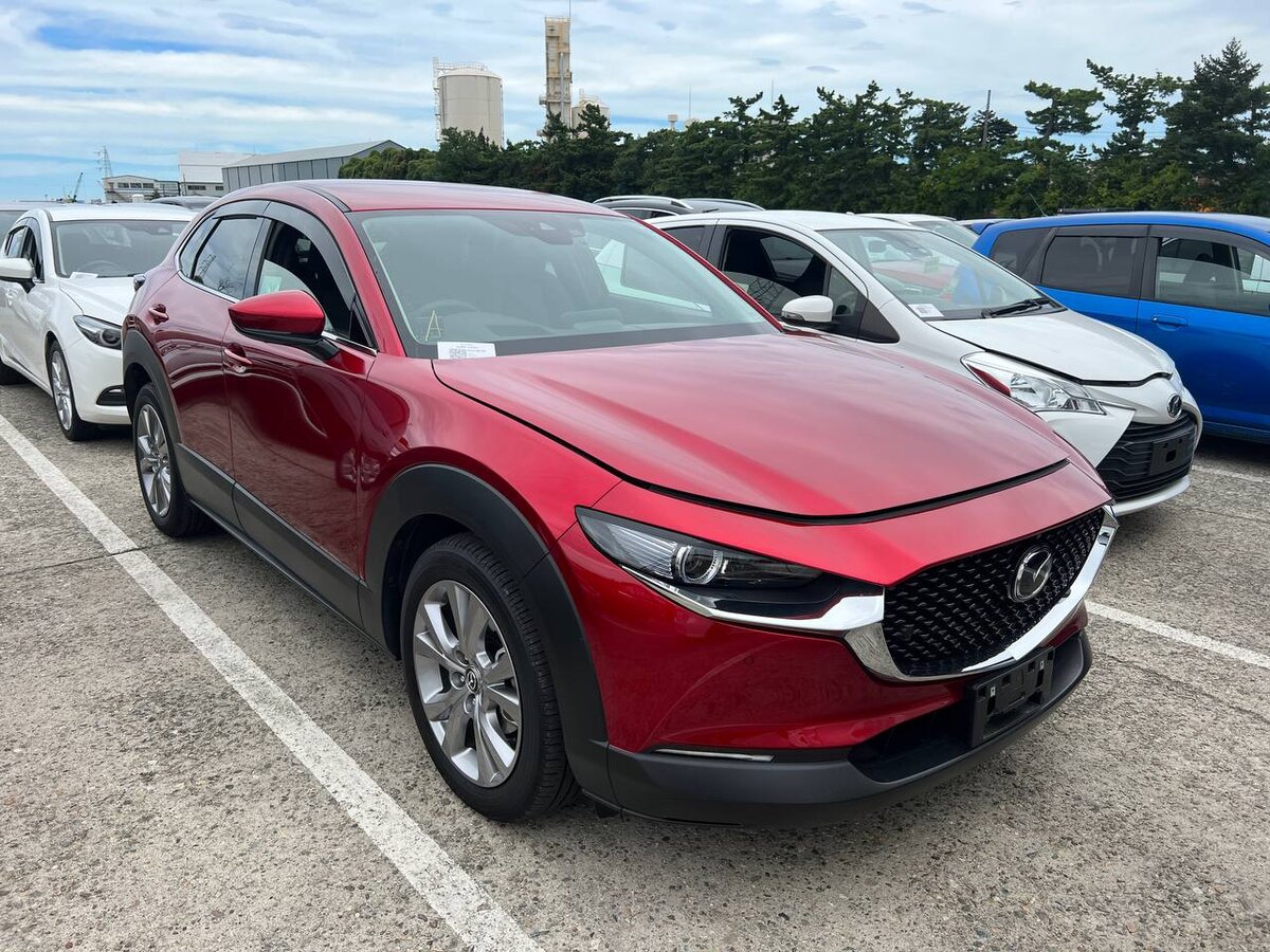 Купили под заказ Mazda CX-30 - 5 баллов, пробег всего 7 000 км и отличная  комплектация! | Авто из Японии | Дзен