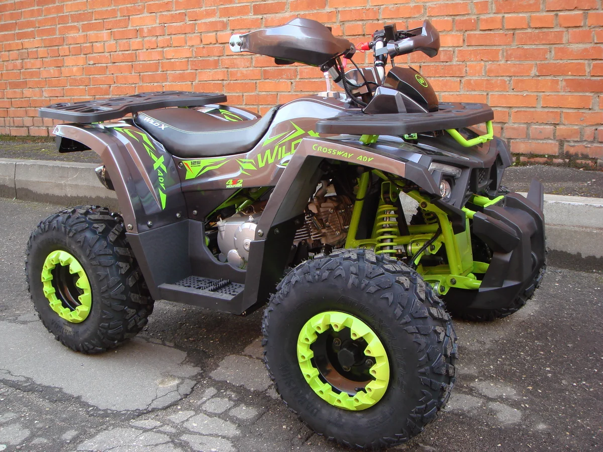 Квадроцикл Motoland 125 Wild. Квадроцикл Motoland Wild x 125. Квадроцикл мотолэнд вилд 125. Motoland atv 125 Wild.