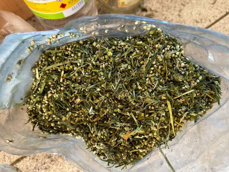    В Оренбургском районе у 33-летнего мужчины изъяли более полкилограмма марихуаны Кристина Просвиркина