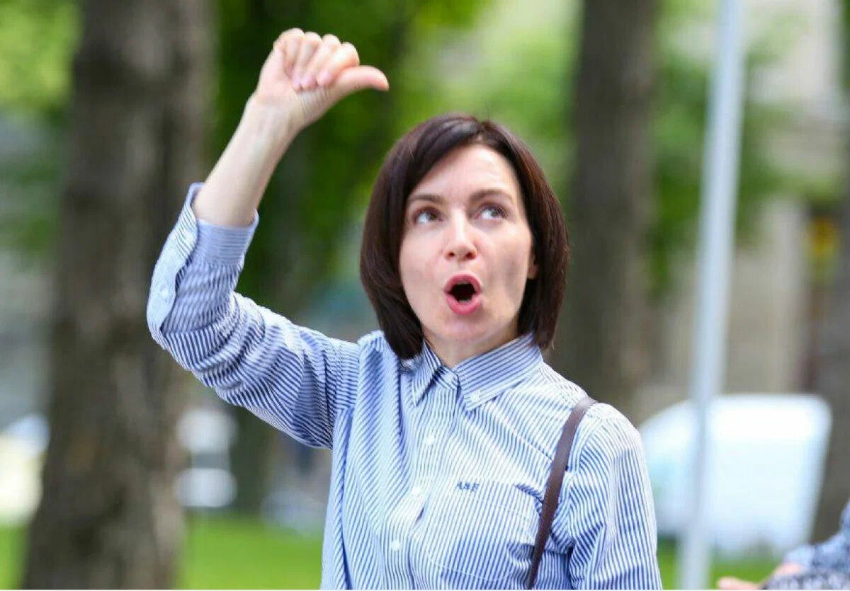 все изображения из открытых источников яндекс картинки. 