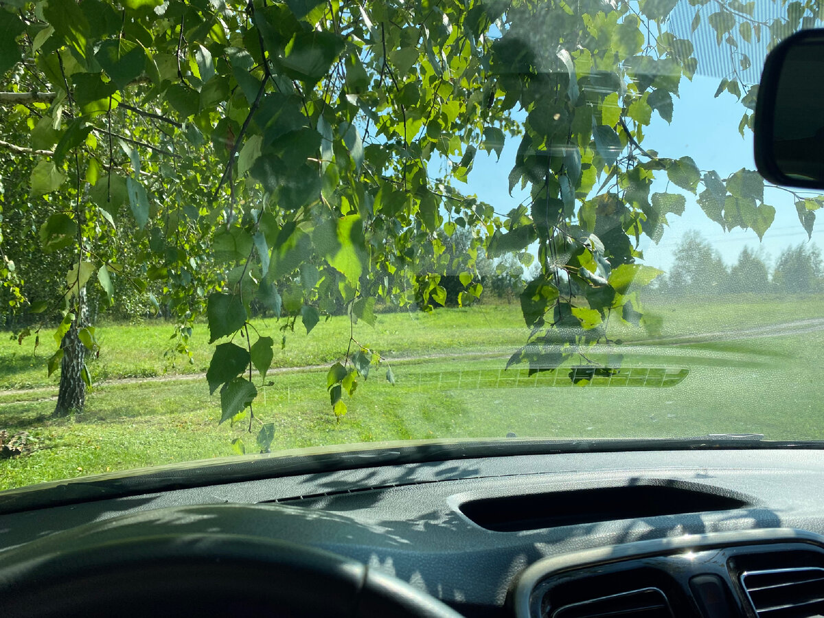 Лавирую между дачей и работой пока позволяет погода и мои силы.