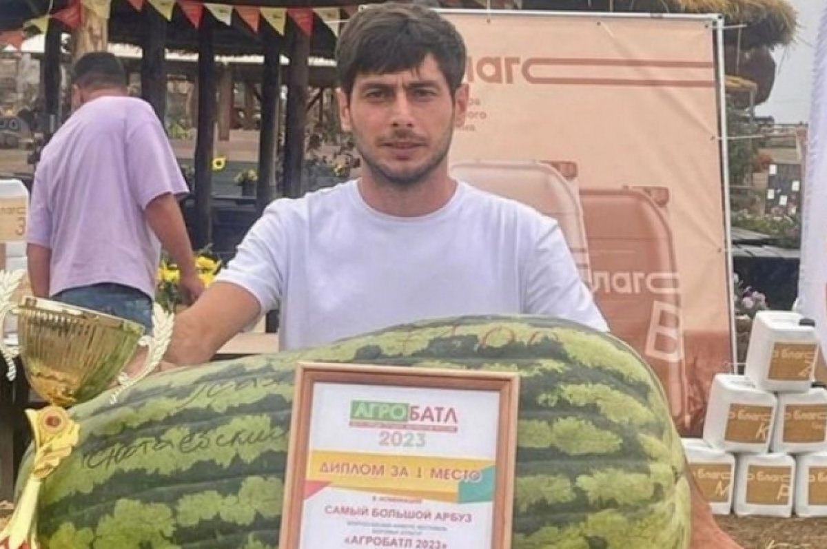    Астраханский фермер Мамедов вновь вырастил самый большой арбуз в РФ