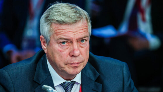    Губернатор Голубев: при атаке беспилотников в Ростове-на-Дону пострадал человек Анна Белая
