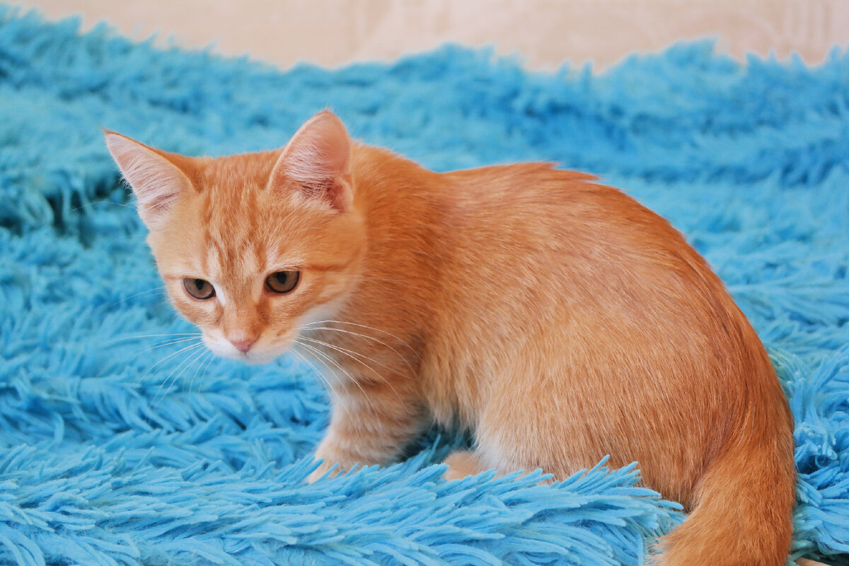 Фото из домашнего архива