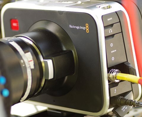 Фото из Википедии. Свободная лицензия