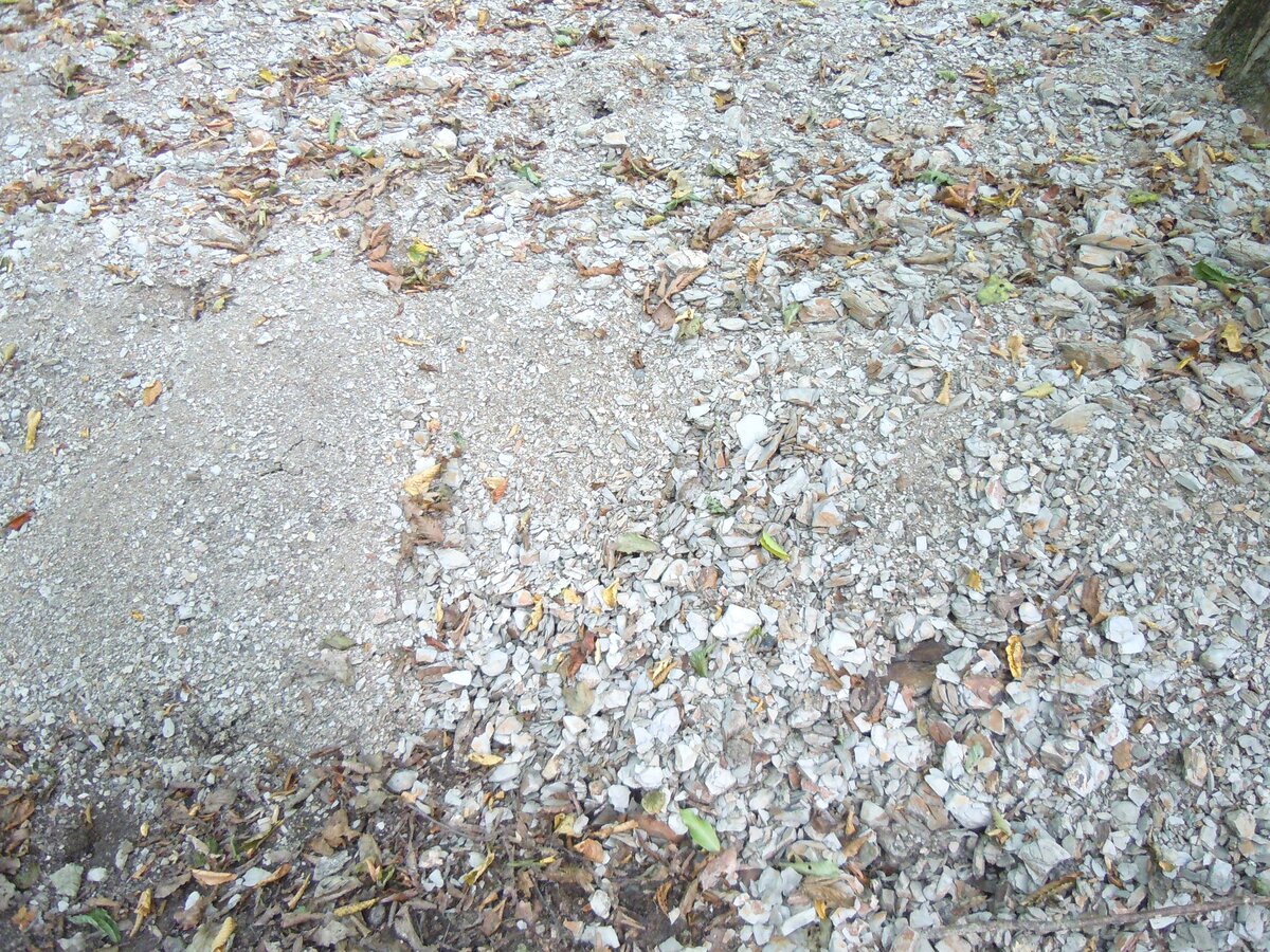 Ранее уже упоминал в другой теме об этом феномене. В 2023 году сделал несколько снимков. Вот самый красивый гладкий участок каменной дороги на пути из станицы Севастопольская к посёлку Победа.-23