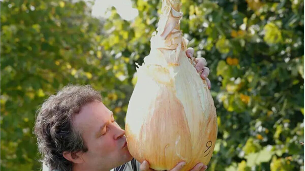     Фото: Guinness World Records