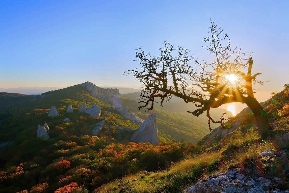 Храм солнца осенью фото