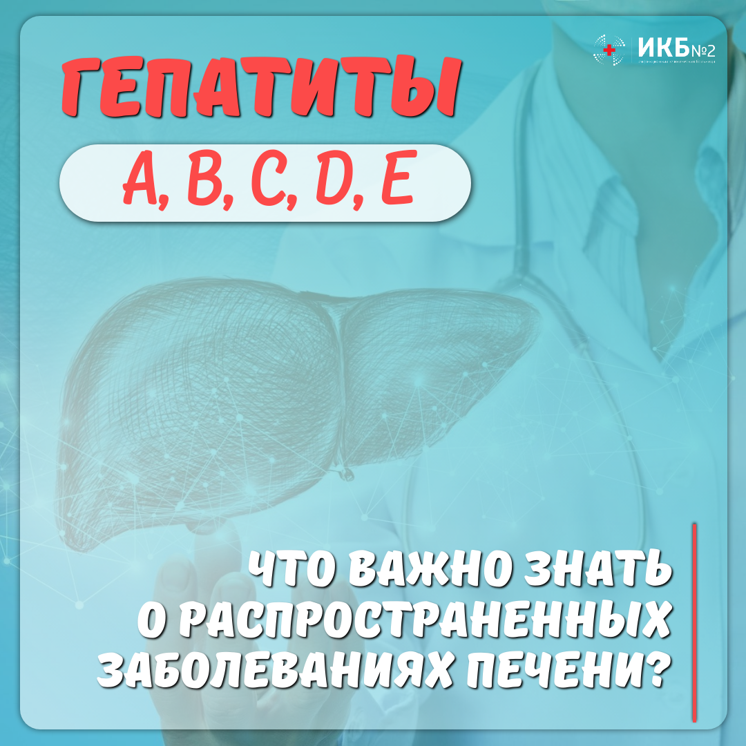 Гепатиты: что важно знать о вирусных заболеваниях печени? | Инфекционная  больница №2 города Москвы | Дзен