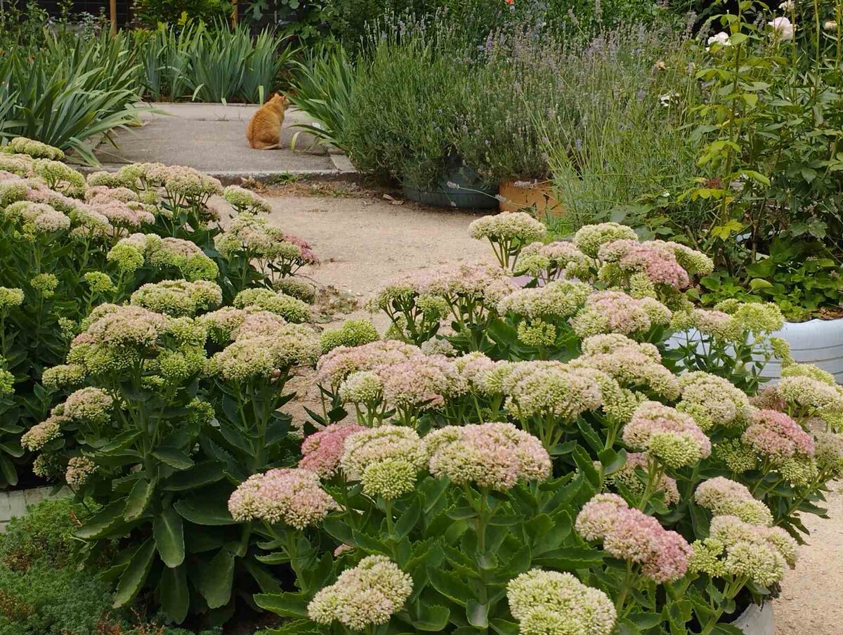 Двор по пути на маникюр