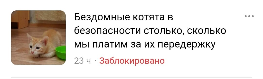 Это, оказывается, шокирующий контент... Зато покупать котяток на дзене можно сколько угодно. И чёрный рынок плодилщиков - это мимими