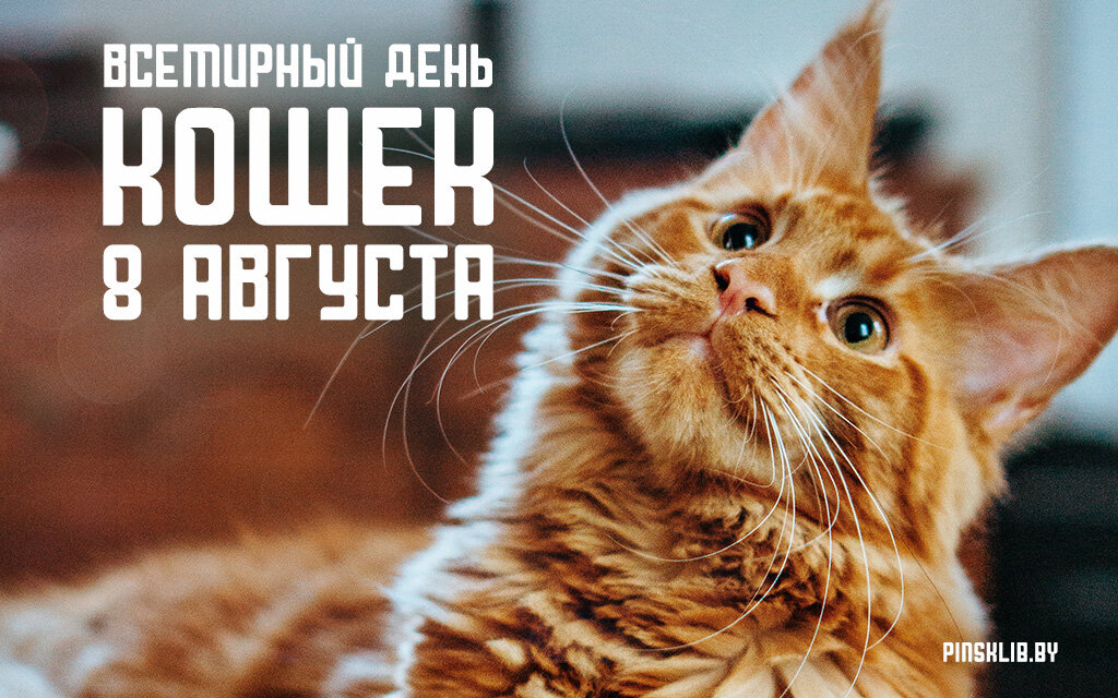 Всемирный день кошек 2023. Всемирный день кошек. День кошек 8 августа. 8августв Всемирный день кошек.