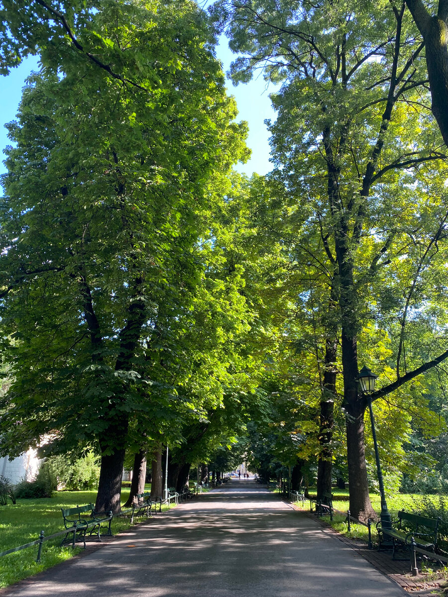 Так выглядит парк Planty в Кракове