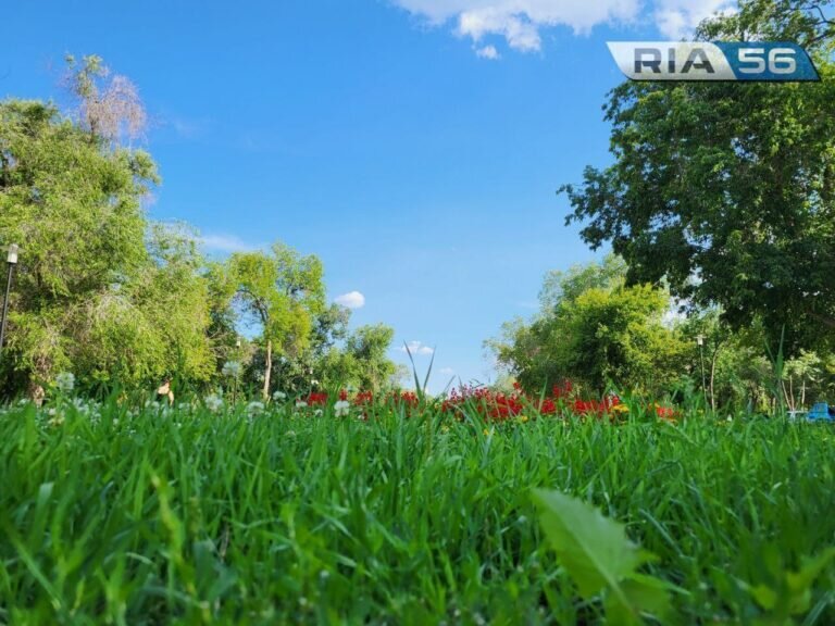    В ближайшие выходные в Оренбуржье жарко, а к понедельнику ожидается похолодание Белов Михаил Александрович
