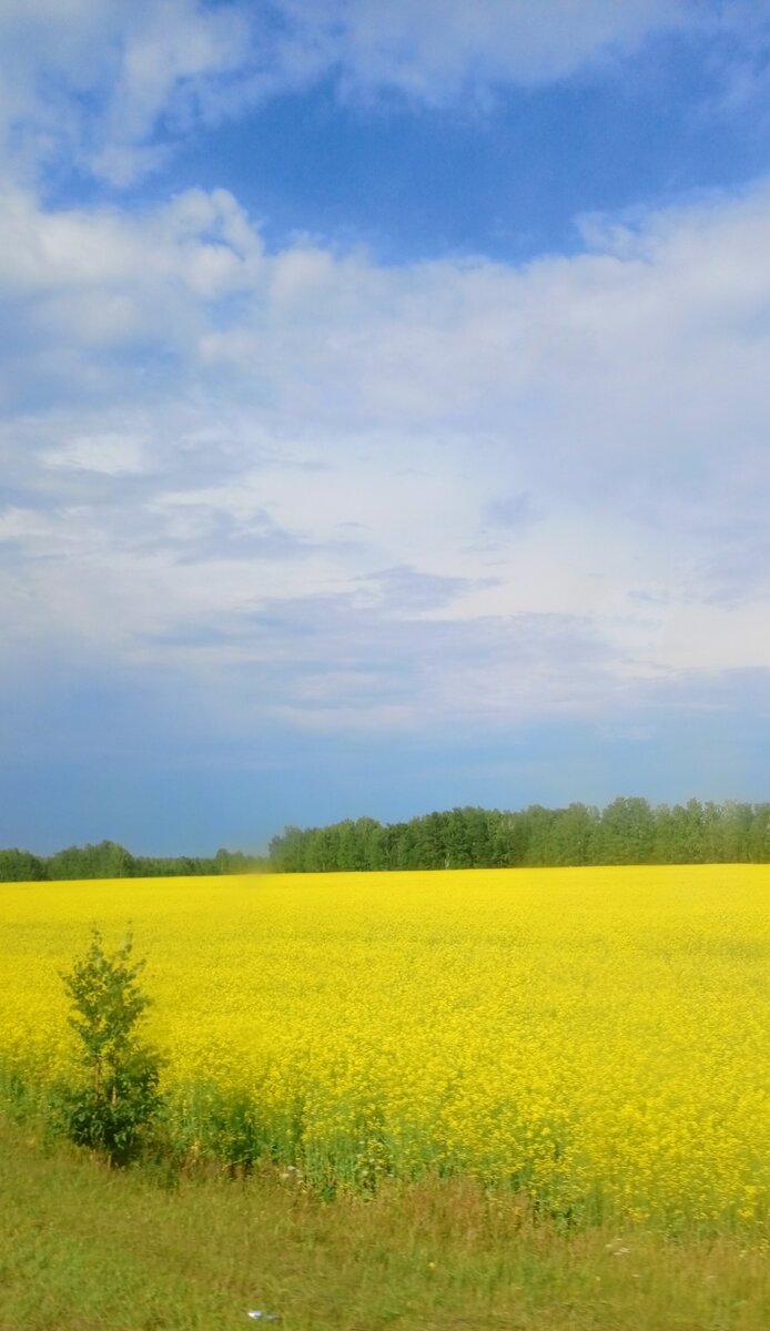 Фото из личного архива. 