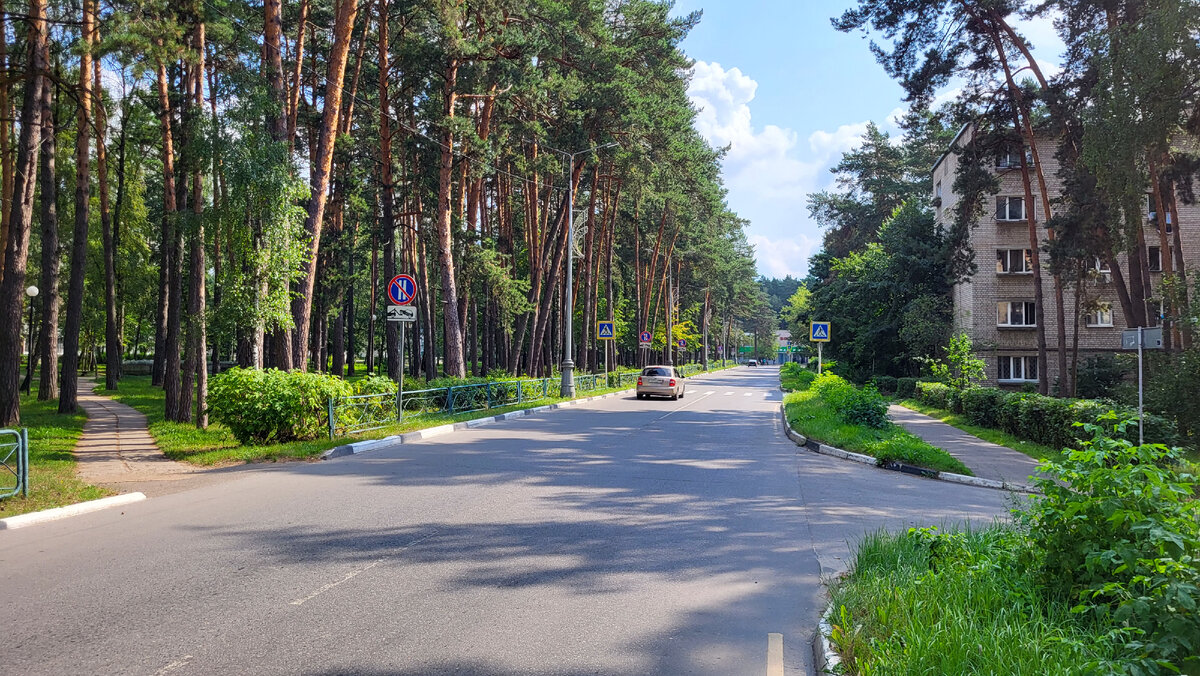 Зелёные насаждения Протвино