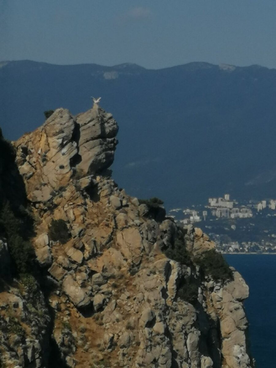 личное фото