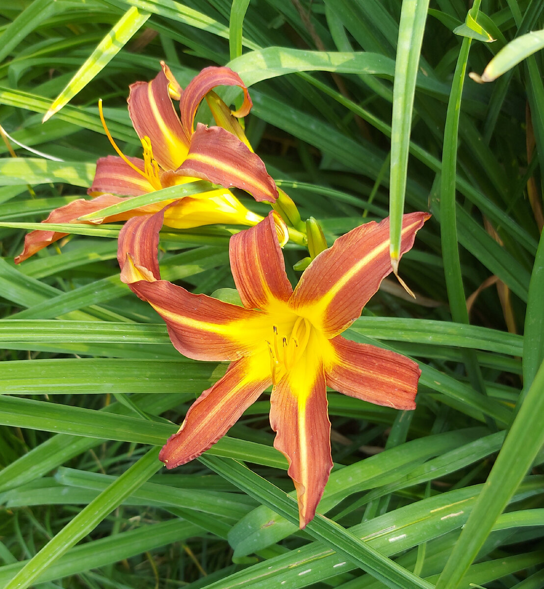 Тем временем жизнь продолжается:) Делаем выводы и живём дальше! :)