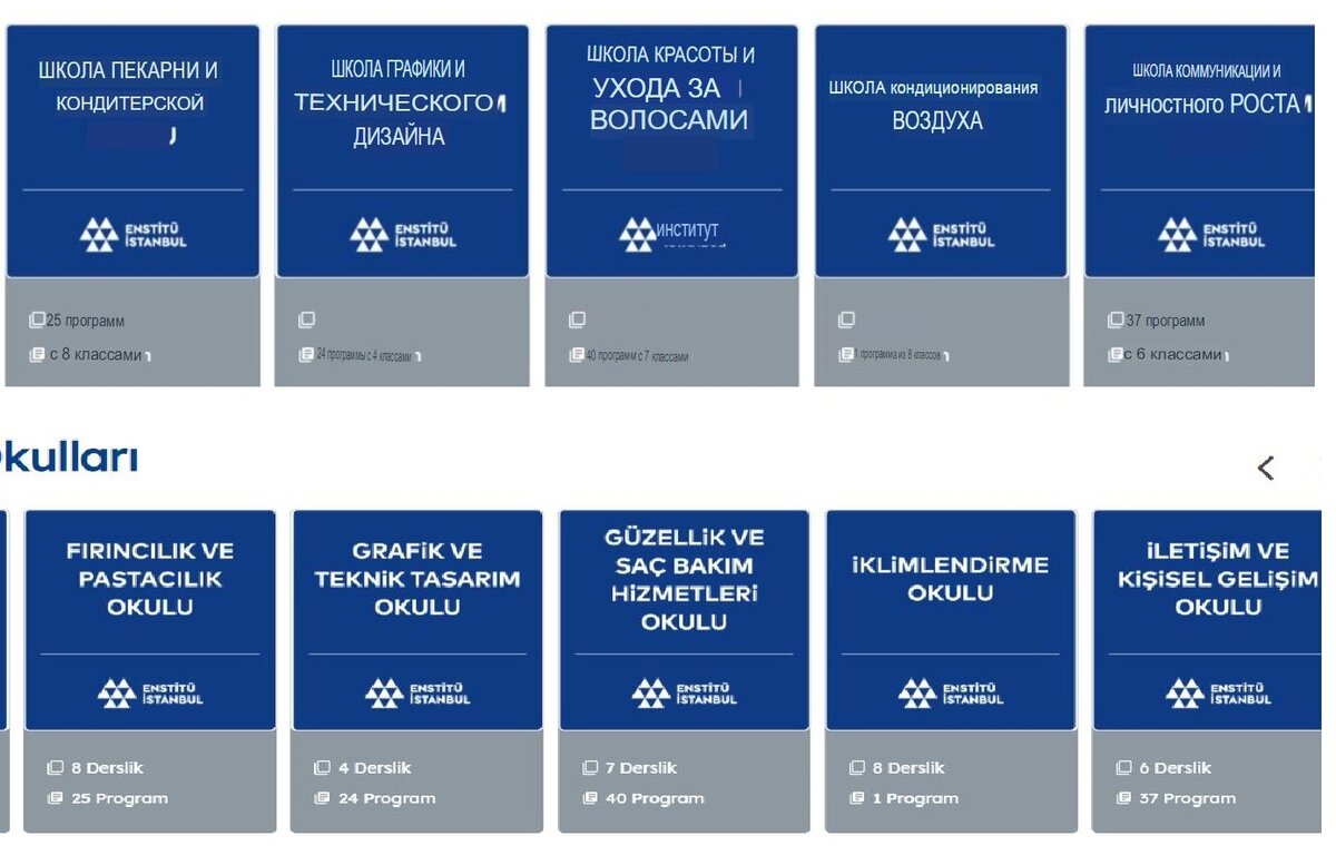 Фрагмент сайта (прогнала картинку через яндекс-переводчик).
