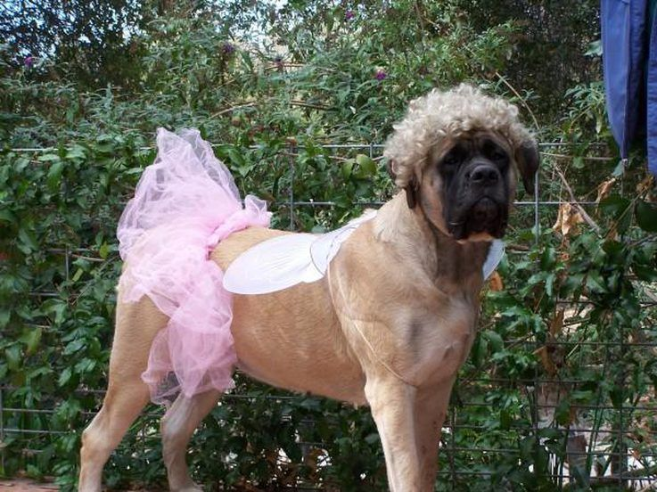 Что вы так на меня смотрите? Времена изменились, зарабатываю, чем могу!