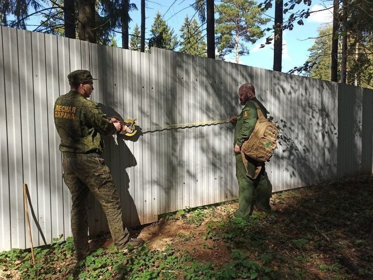     ФОТО: пресс-служба Комитета лесного хозяйства Московской области