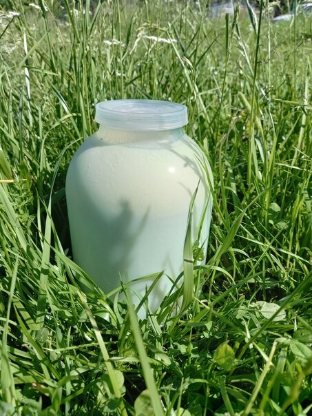 Картинка из сети