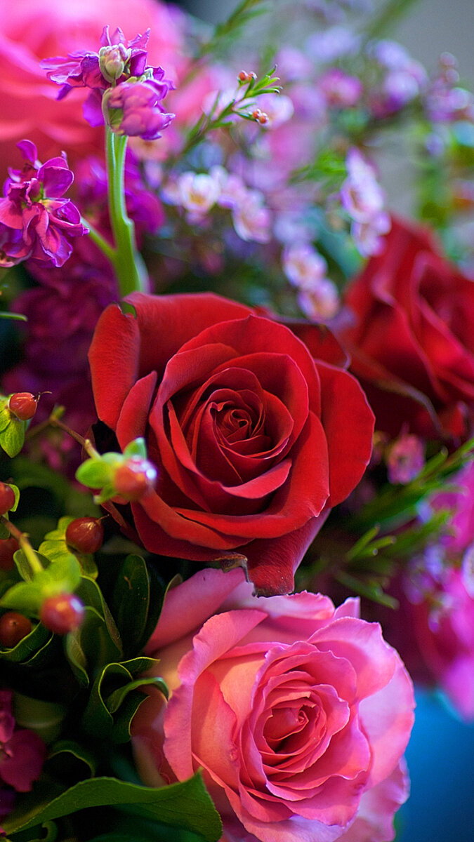 Фото из интернета