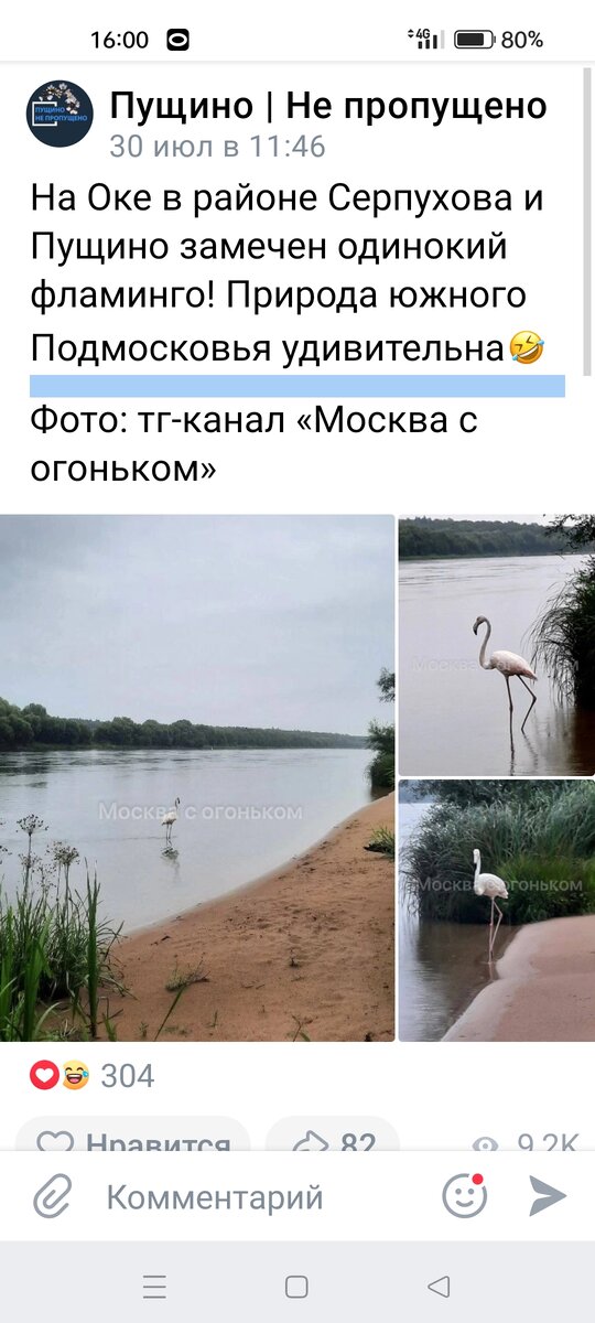 Фото из соцсети ВК