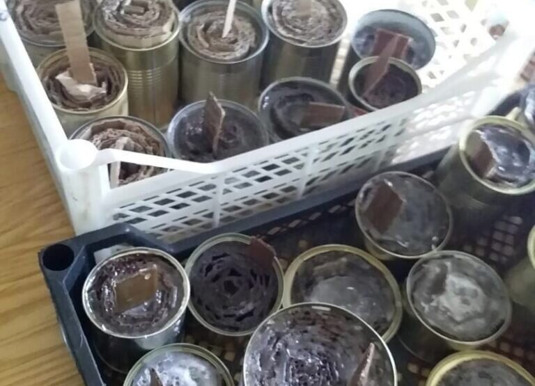    Школьники Гайского округа изготовили блиндажные свечи для бойцов СВО Кристина Просвиркина