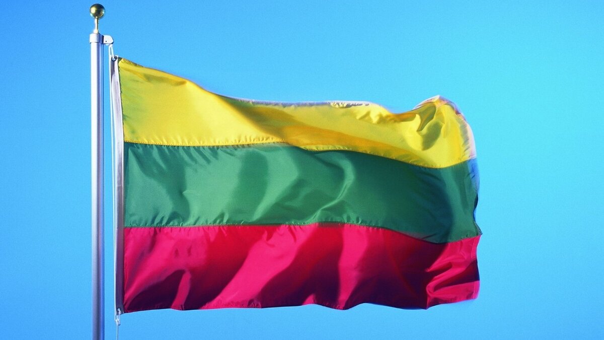     Более 1 тыс. граждан России и Белоруссии, обратившихся к властям Литвы по вопросам получения вида на жительство или национальной визы, получили отказ, причиной которого указали угрозу для национальной безопасности. Об этом сообщили департаменте миграции республики.