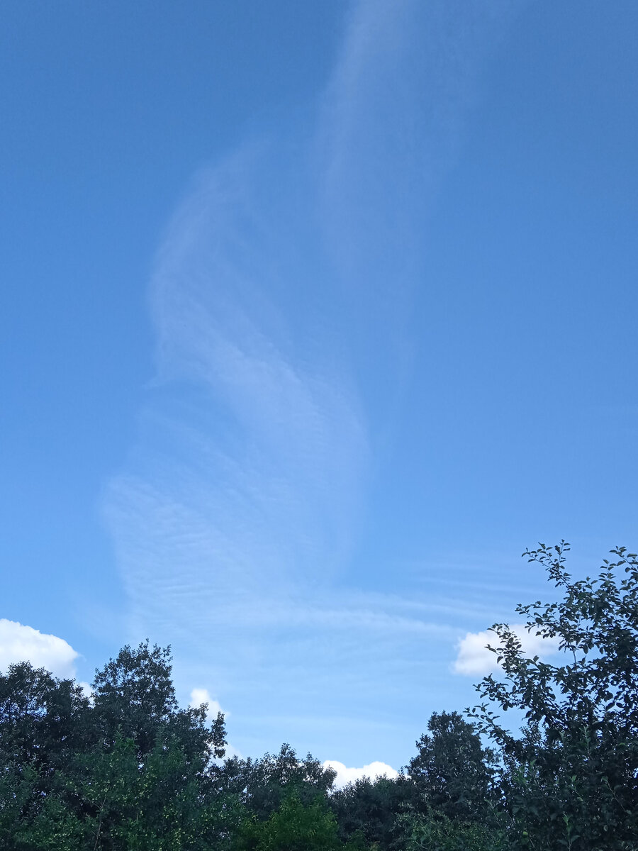 Облако, похожее чем-то на лебедя