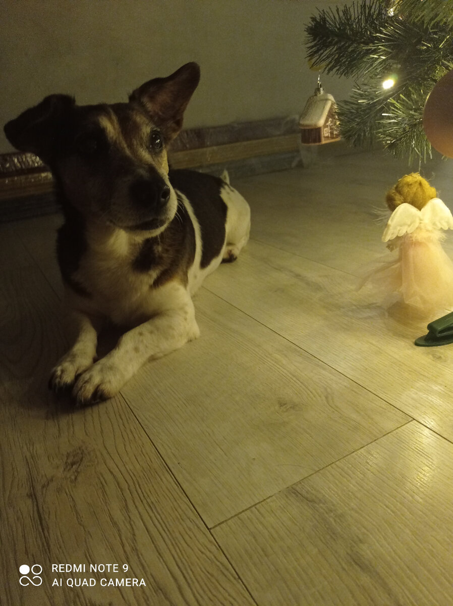 Новый год 2022