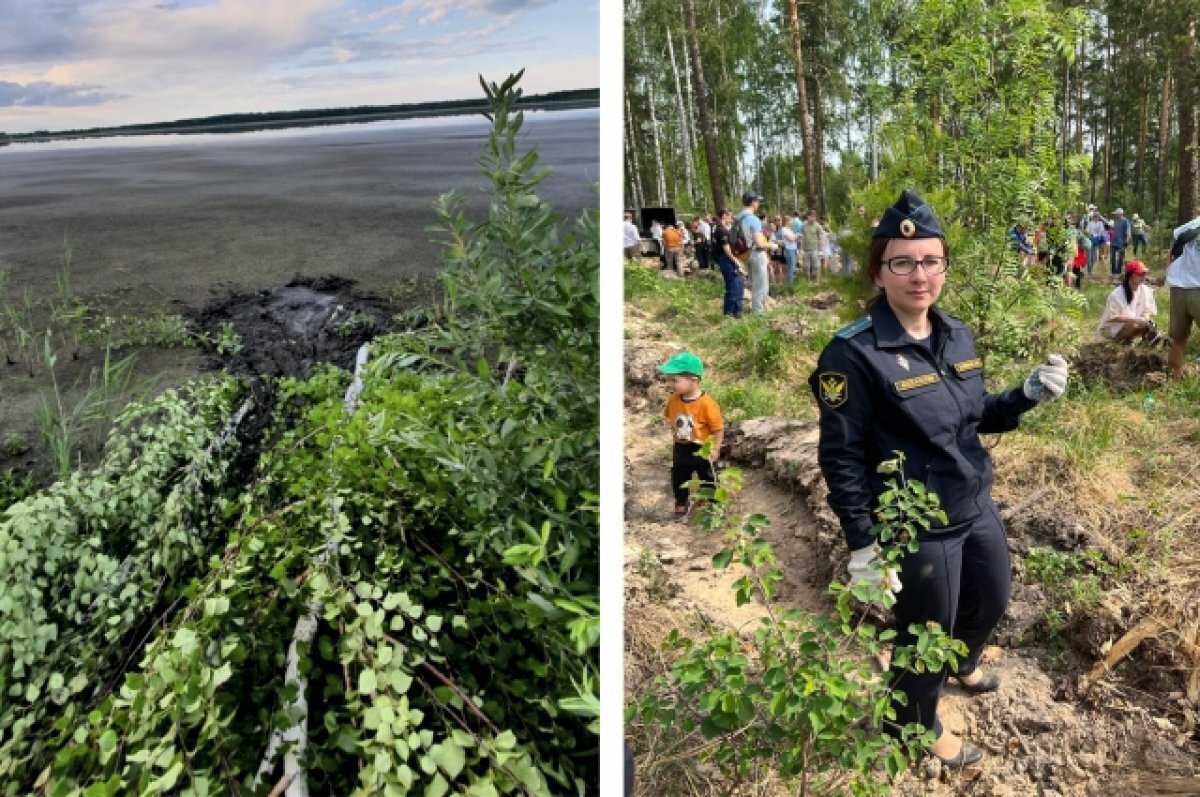    Судебный пристав нашла в уральском лесу заблудившегося дедушку