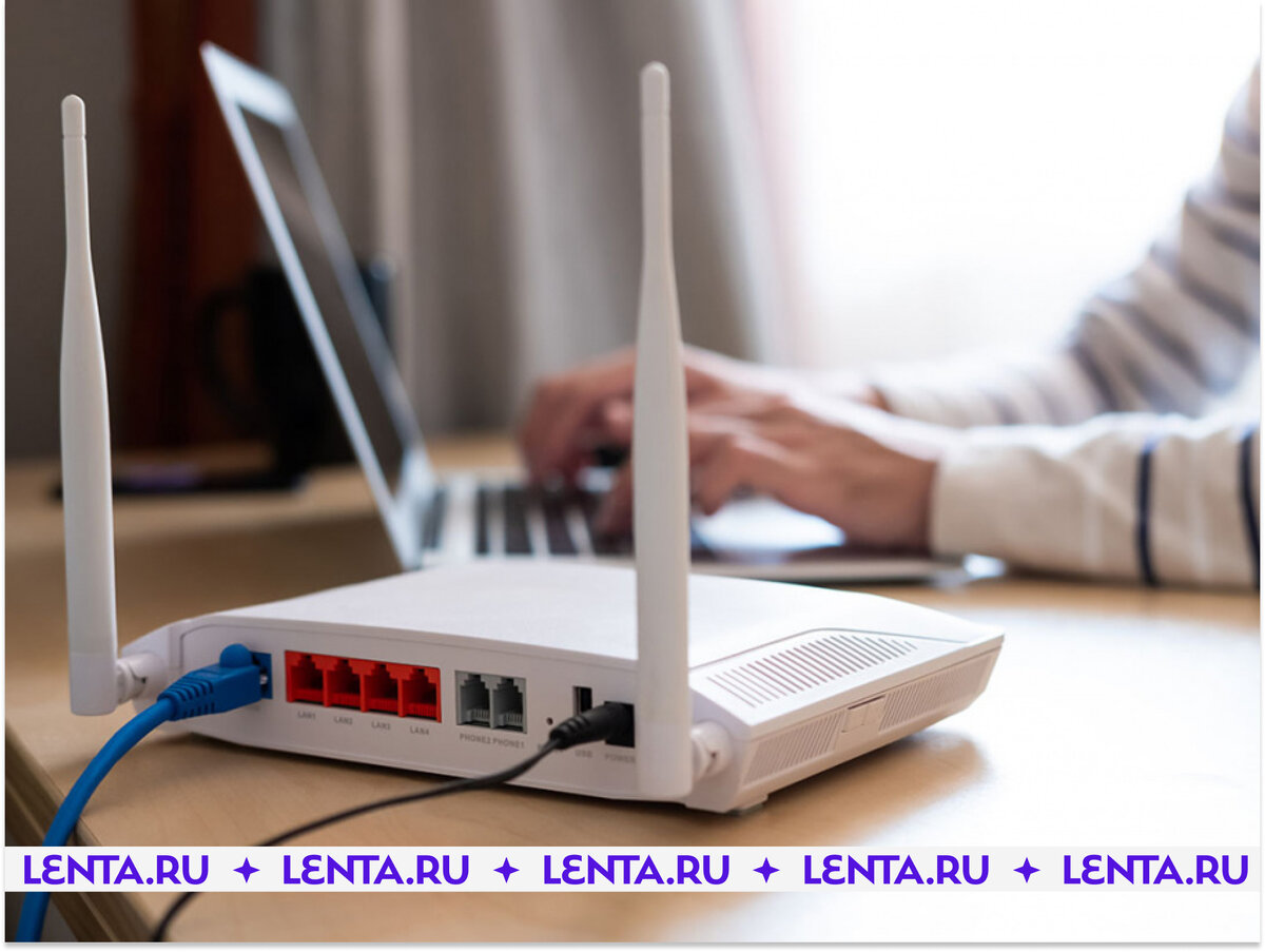 Фото: Shutterstock 