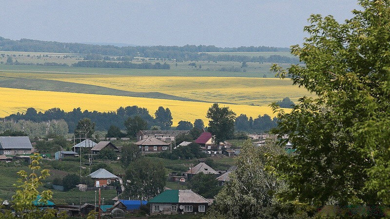     Тогульский район. Муниципалитет. Altairegion22.ru