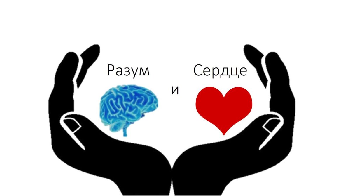 Сердечко слушать. Сердце и разум. Ум и сердце. Сердце или разум. Сердце и разум картинки